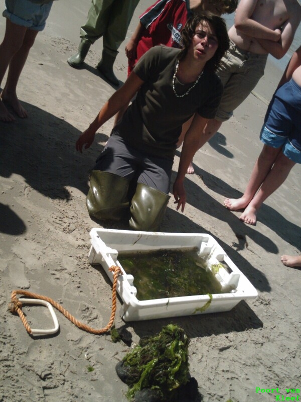 PvK 1.Lager 06   071